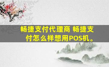 畅捷支付代理商 畅捷支付怎么样想用POS机。